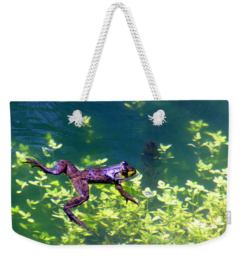 Frog Weekender Tote Bag featuring the photograph Floating Frog by Nick Gustafson