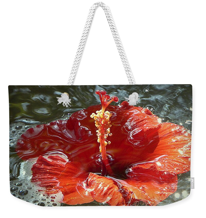 Flower Weekender Tote Bag featuring the photograph Floating Hibiscus by Lori Seaman