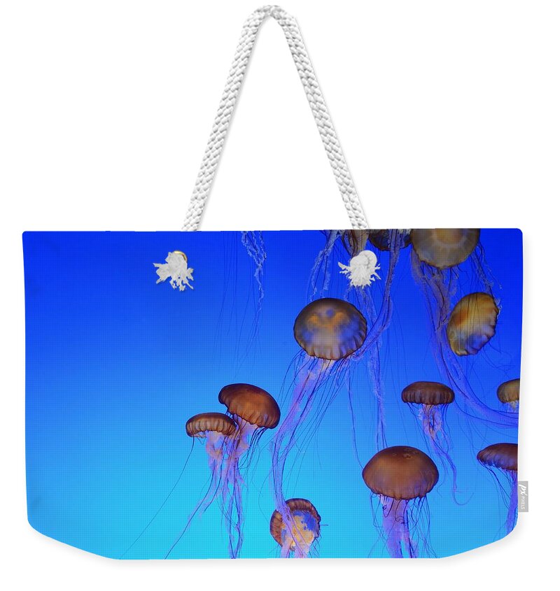 Jellyfish Weekender Tote Bag featuring the photograph Floating Jellyfish Ballet by Marilyn MacCrakin