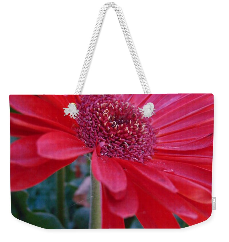 Red Weekender Tote Bag featuring the photograph Flora by Mary Halpin