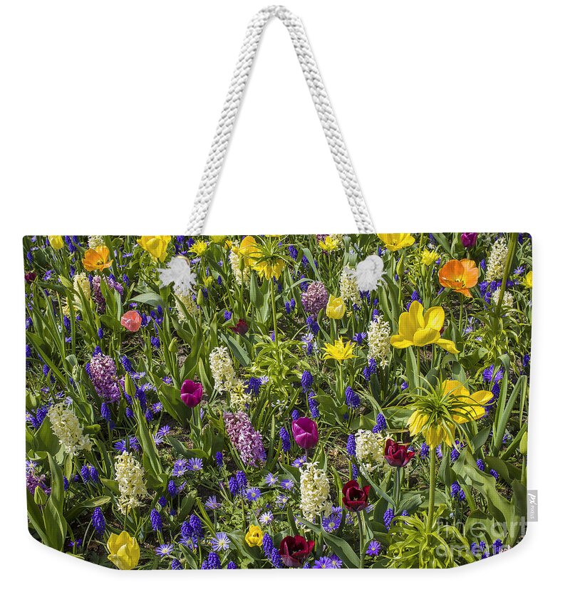 Colors Weekender Tote Bag featuring the photograph Floral background in all colors by Patricia Hofmeester