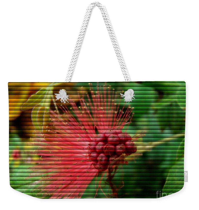 Art Deco Weekender Tote Bag featuring the photograph Floral Fan by Sue Melvin