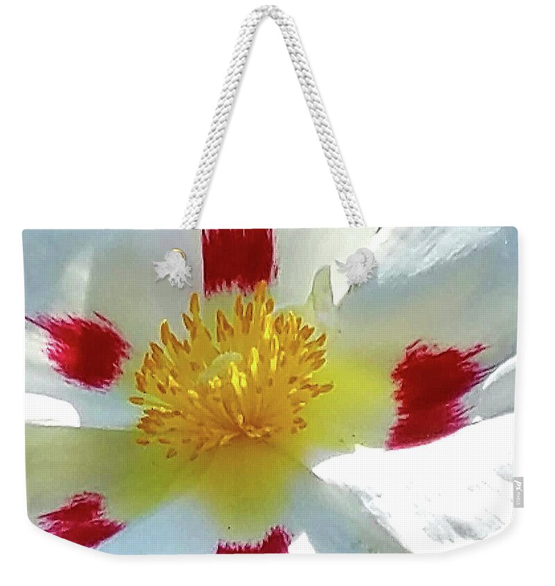 Flowers Weekender Tote Bag featuring the photograph Floral Impressions by Suzy Piatt