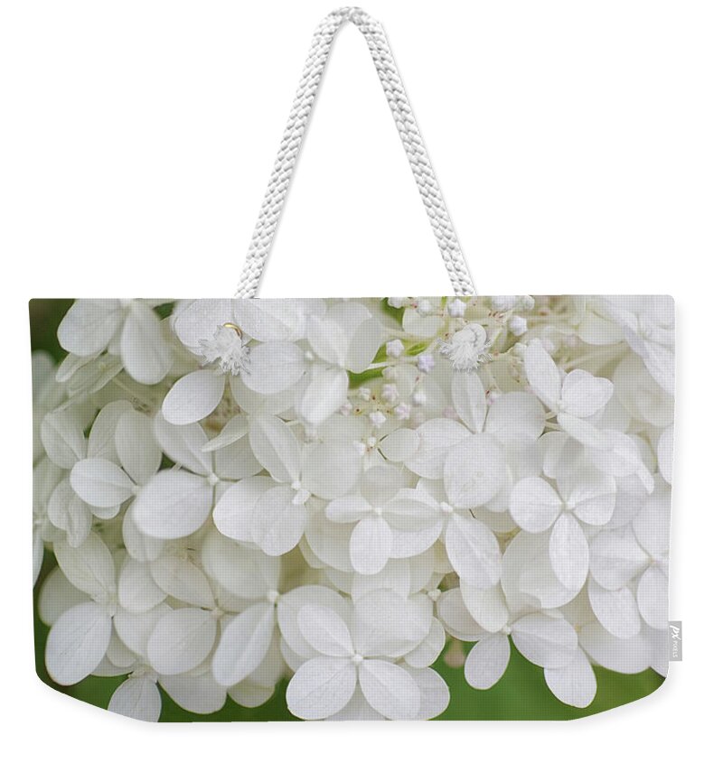 White Hydrangea Weekender Tote Bag featuring the photograph Floral In White by Kathi Mirto