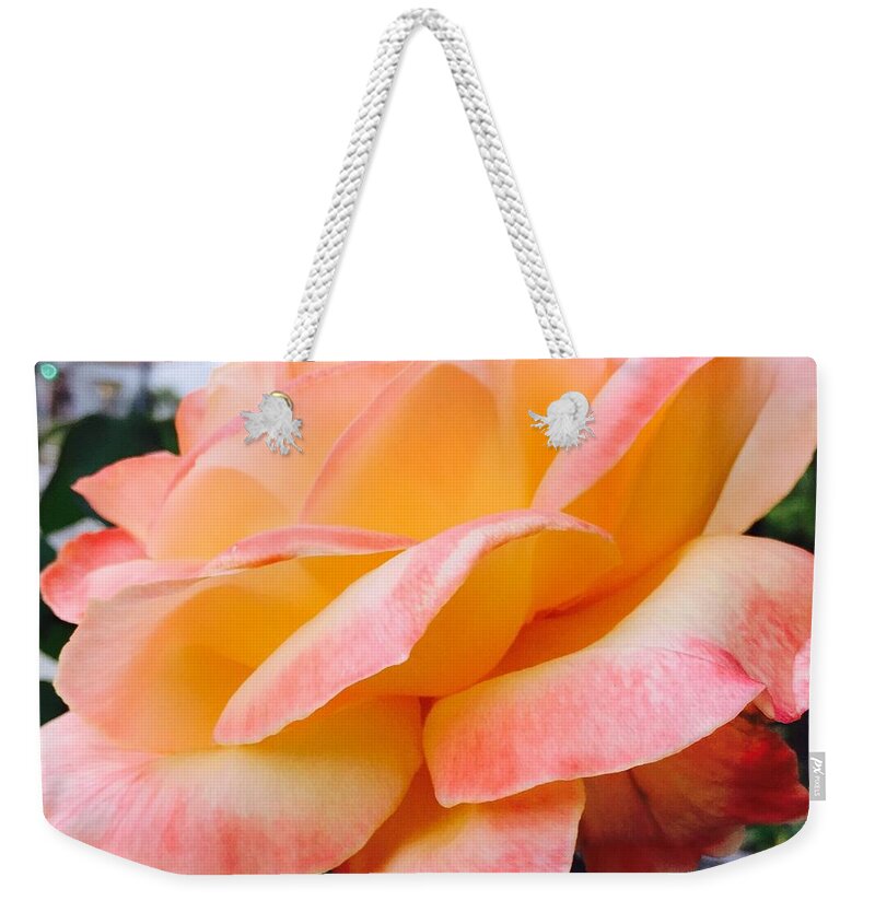 Flowers Weekender Tote Bag featuring the photograph Floral Yellow Peach Rose 2 by Christine McCole