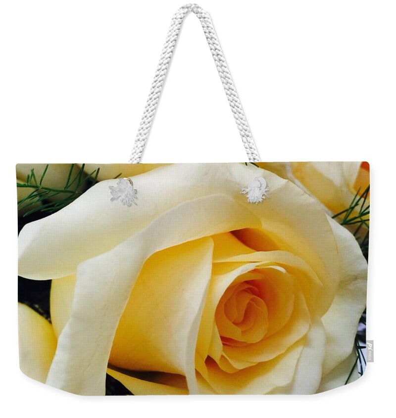 Flowers Weekender Tote Bag featuring the photograph Floral Soft Yellow Roses by Christine McCole