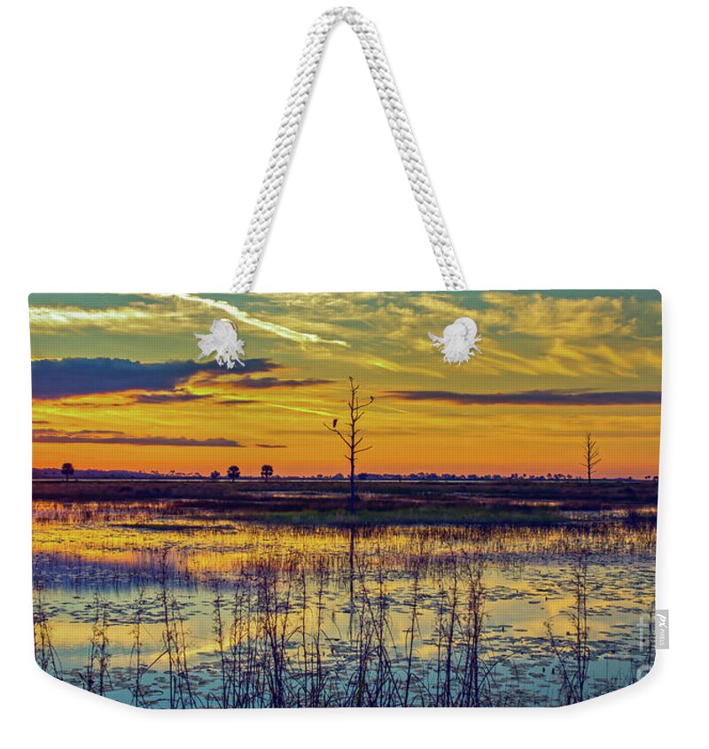 Bird Weekender Tote Bag featuring the photograph Florida Nature Paradise by DB Hayes