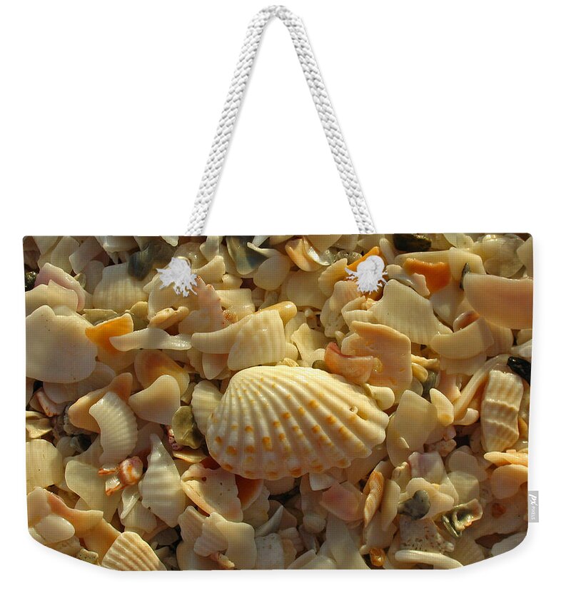 Shell Weekender Tote Bag featuring the photograph Florida Sea Shells by Juergen Roth