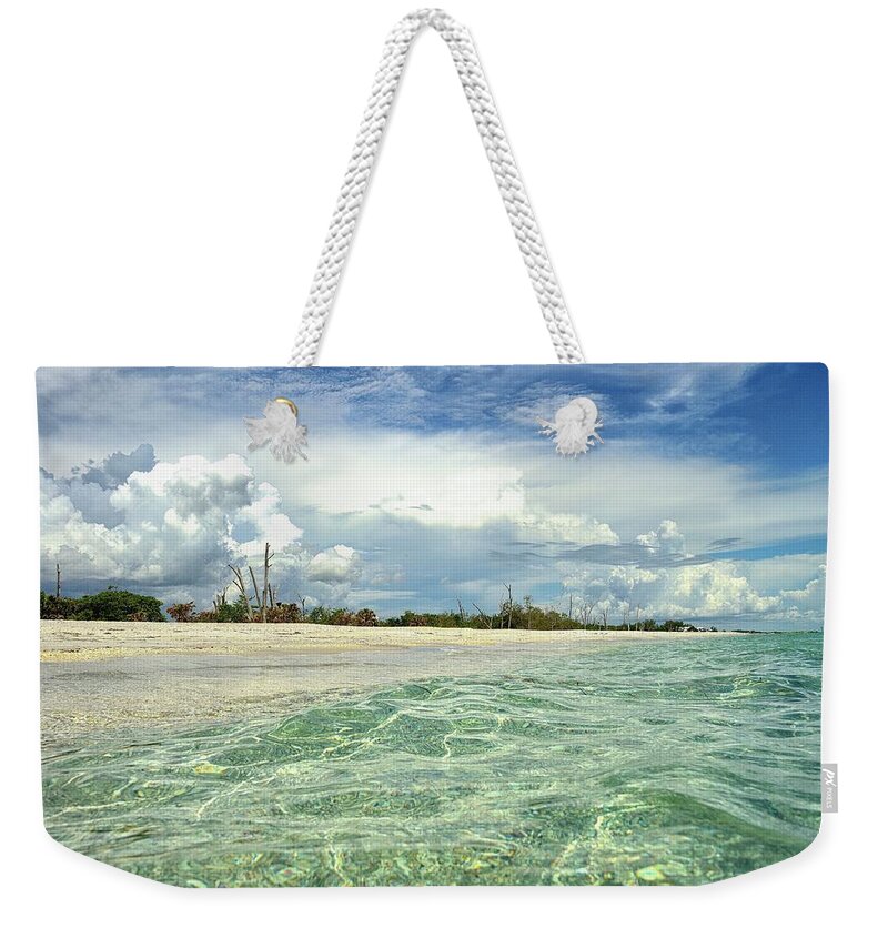 State Park Weekender Tote Bag featuring the photograph Florida State Park by Alison Belsan Horton