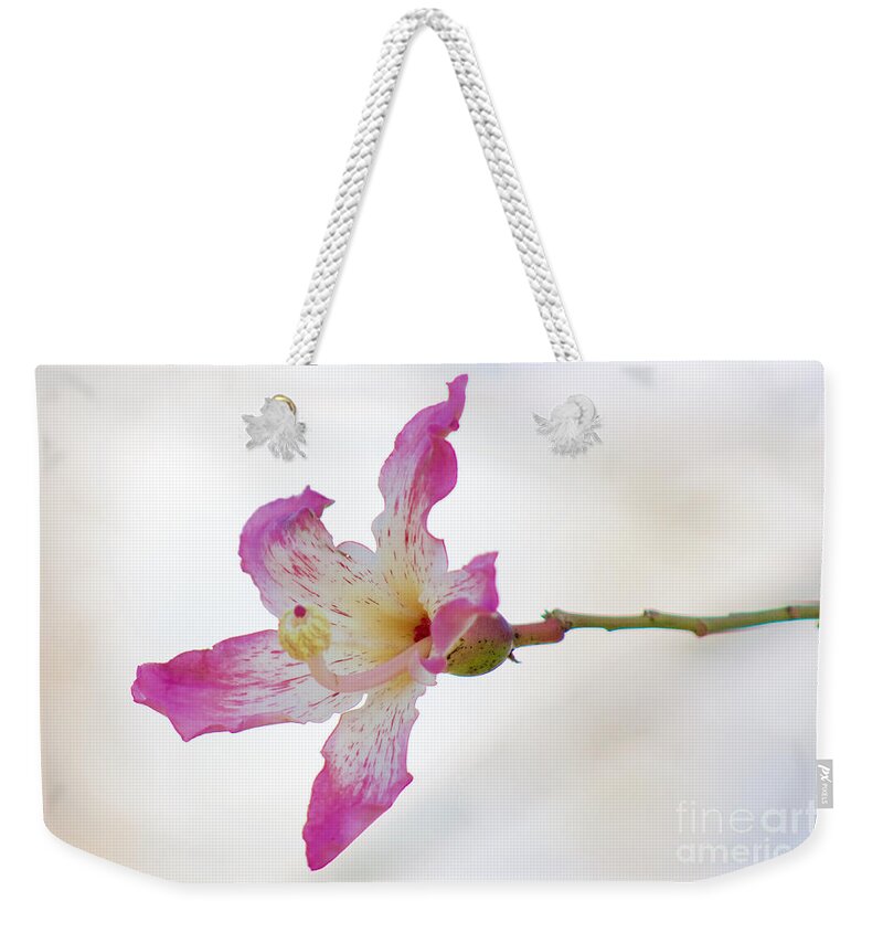 Photography Weekender Tote Bag featuring the photograph Floss Silk Blossom by Sean Griffin
