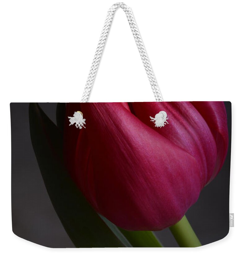 Flower Weekender Tote Bag featuring the photograph Flourishing tulip by Robert WK Clark