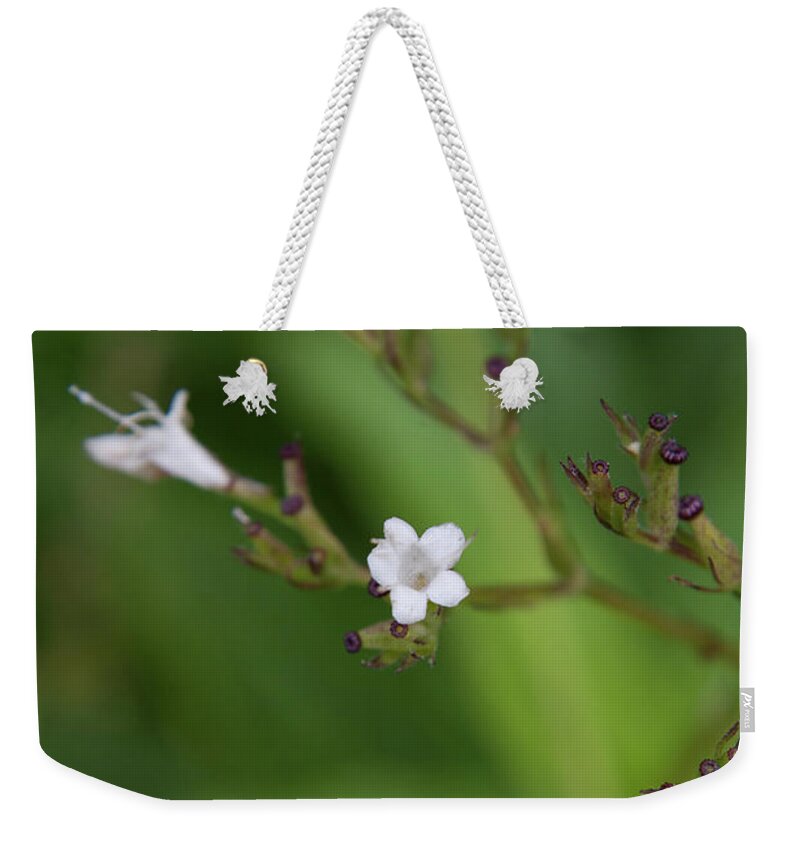 Nature Weekender Tote Bag featuring the photograph Flower 1 by Mati Krimerman