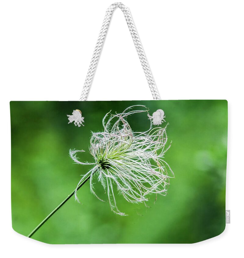 Flower Weekender Tote Bag featuring the photograph Flower 8941 by Tam Ryan