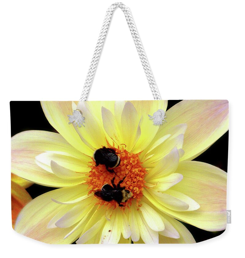 Flowers Weekender Tote Bag featuring the photograph Flower and Bees by Anthony Jones
