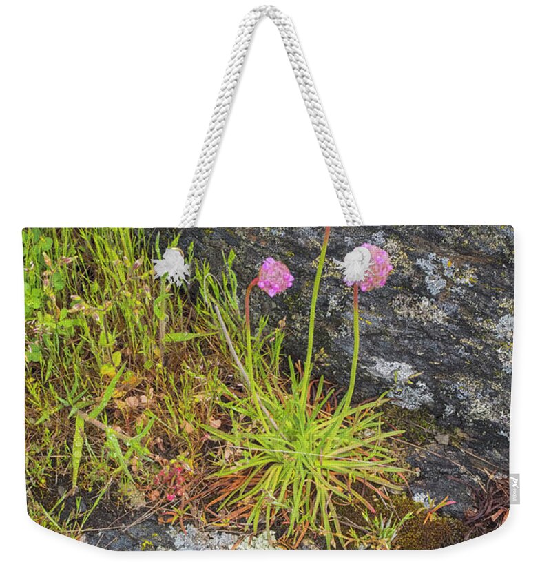 Oregon Coast Weekender Tote Bag featuring the photograph Flower And Rock by Tom Singleton