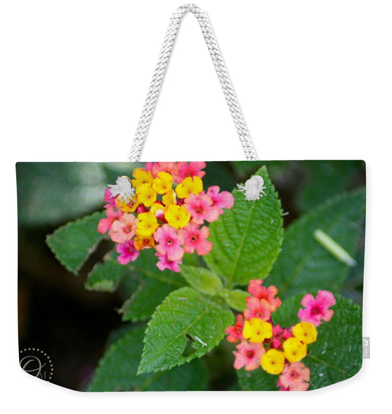 Flower Weekender Tote Bag featuring the photograph Flower Bloom by Shelley Overton