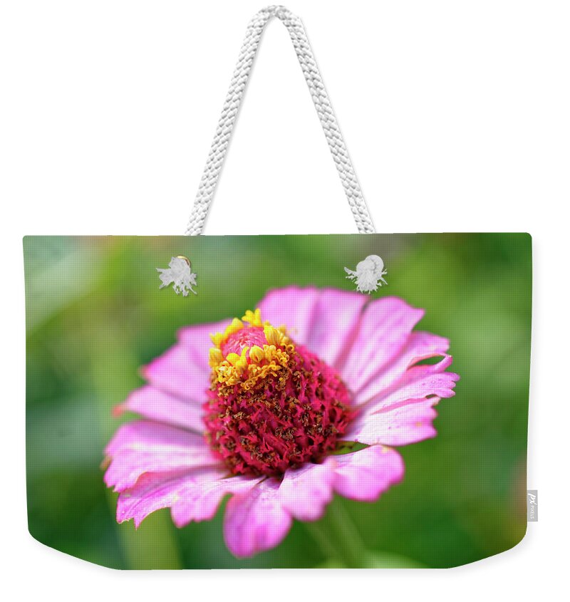 Flower Weekender Tote Bag featuring the photograph Flower close-up by Peter Ponzio