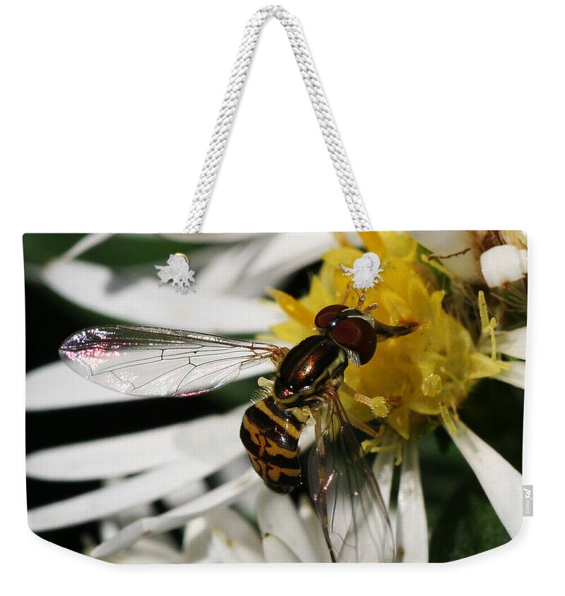 Insect Weekender Tote Bag featuring the photograph Flower Fly on Wildflower by William Selander