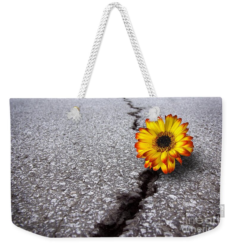 Abstract Weekender Tote Bag featuring the photograph Flower in asphalt by Carlos Caetano