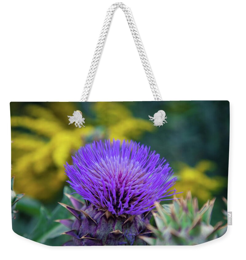 Flower Weekender Tote Bag featuring the photograph Flower in Fayetteville Courthouse Square by Toni Hopper