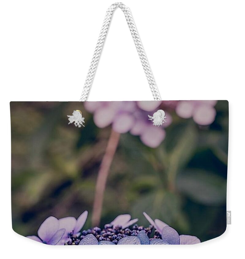 Hyrdrangea Weekender Tote Bag featuring the photograph Flower of the Month by Gene Garnace