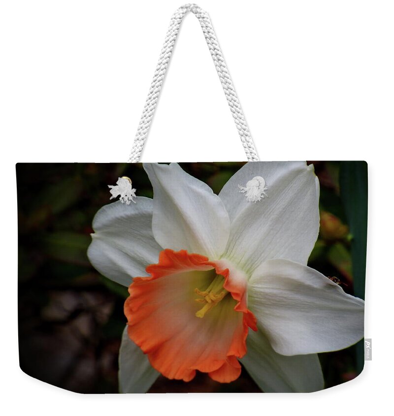 Daffodil Weekender Tote Bag featuring the photograph Flower Record Large Cup Daffodil by Lyuba Filatova