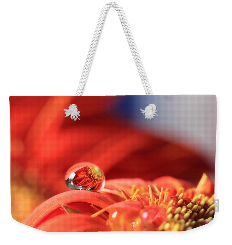 Gerbera Daisy Weekender Tote Bag featuring the photograph Flower Reflection in Water Drop by Angela Murdock
