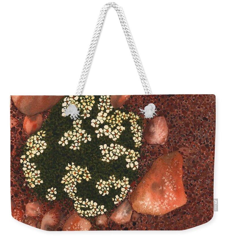Succulent Weekender Tote Bag featuring the painting Flowermound by Hilda Wagner