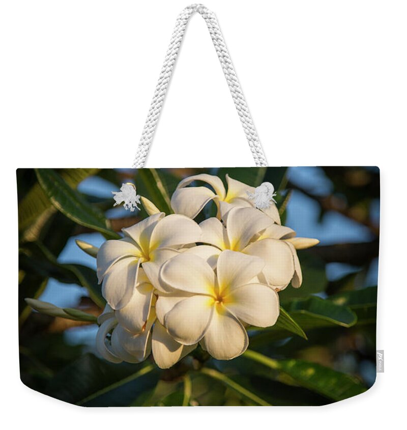 Reid Callaway Flowers And Sunlight Weekender Tote Bag featuring the photograph Flowers and Sunlight by Reid Callaway