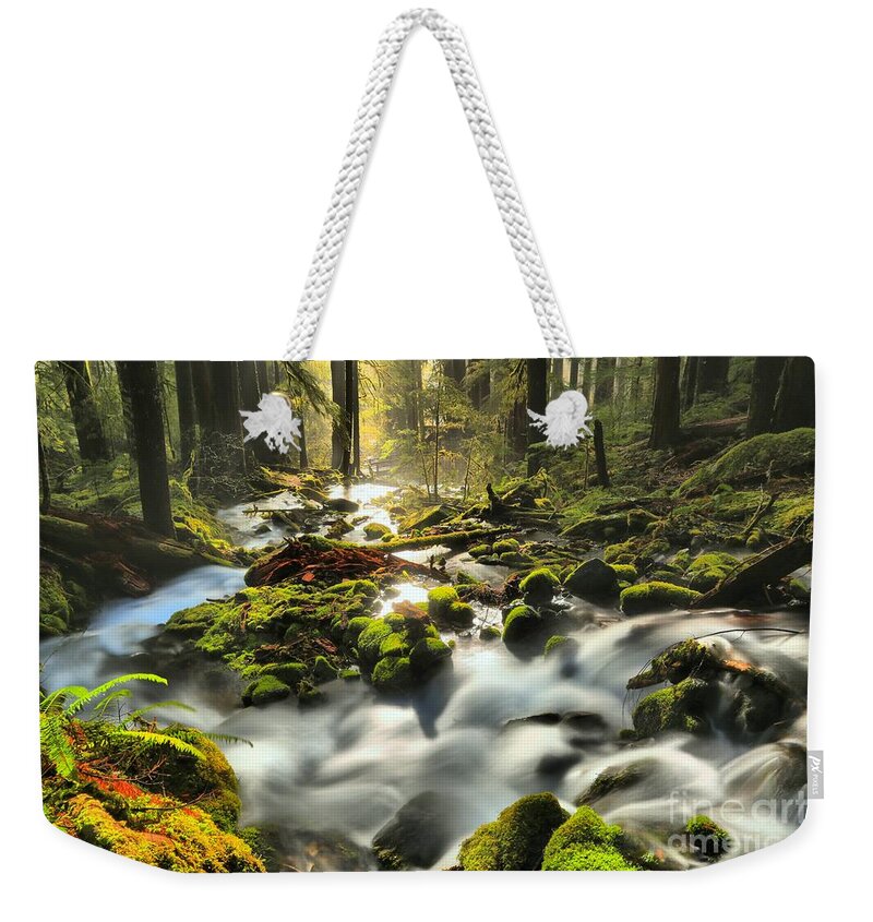 Sol Duc Weekender Tote Bag featuring the photograph Flowing To The Light by Adam Jewell