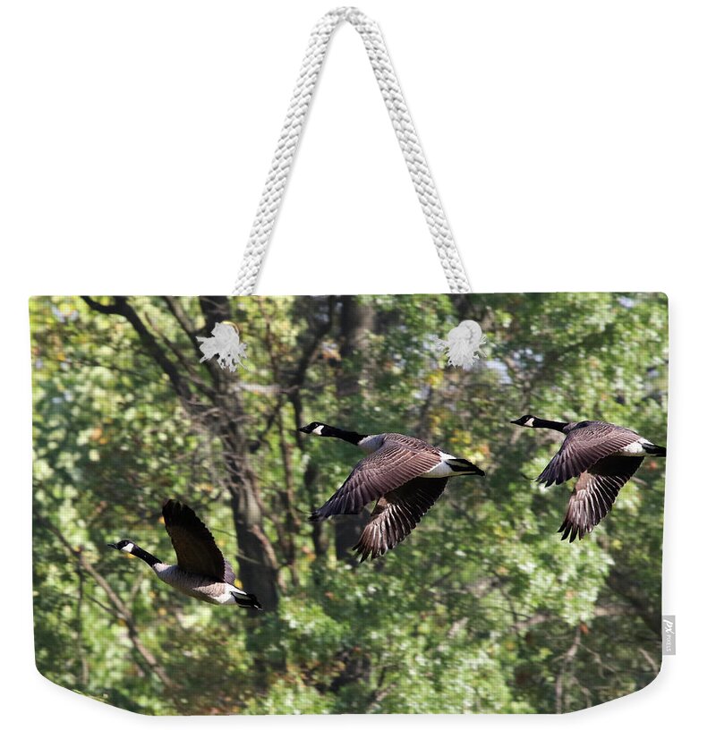 Geese Weekender Tote Bag featuring the photograph Fly Away by Jackson Pearson