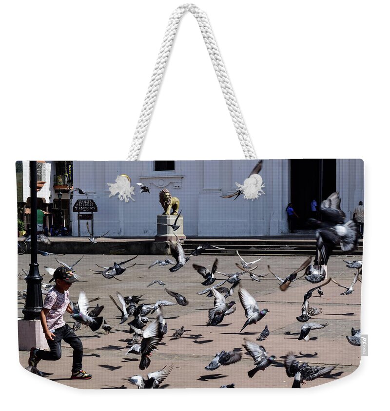 Innocence Weekender Tote Bag featuring the photograph Fly Birdies Fly by Nicole Lloyd