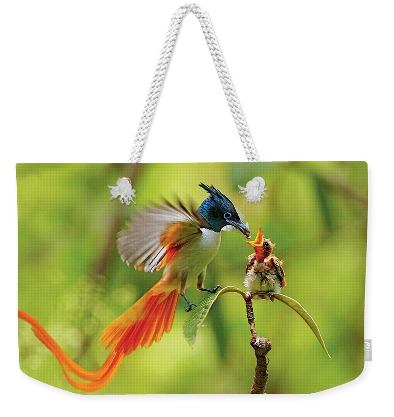 Flycatcher Weekender Tote Bag featuring the photograph Flycatcher by Jackie Russo