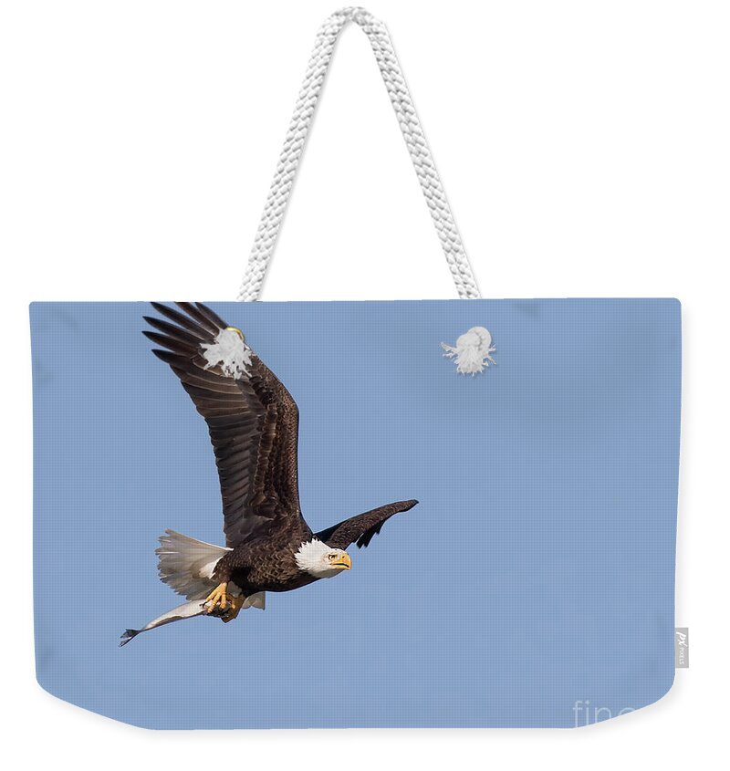 Bald Eagle Weekender Tote Bag featuring the photograph Flying Fish by Art Cole