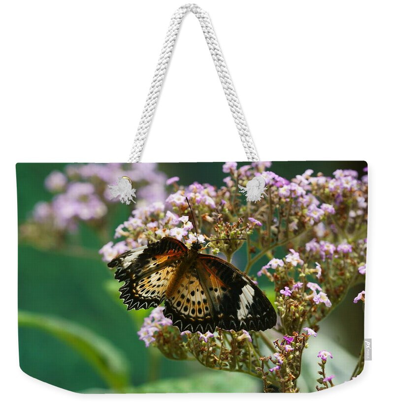Butterfly Weekender Tote Bag featuring the photograph Flying High 1 by Dimitry Papkov