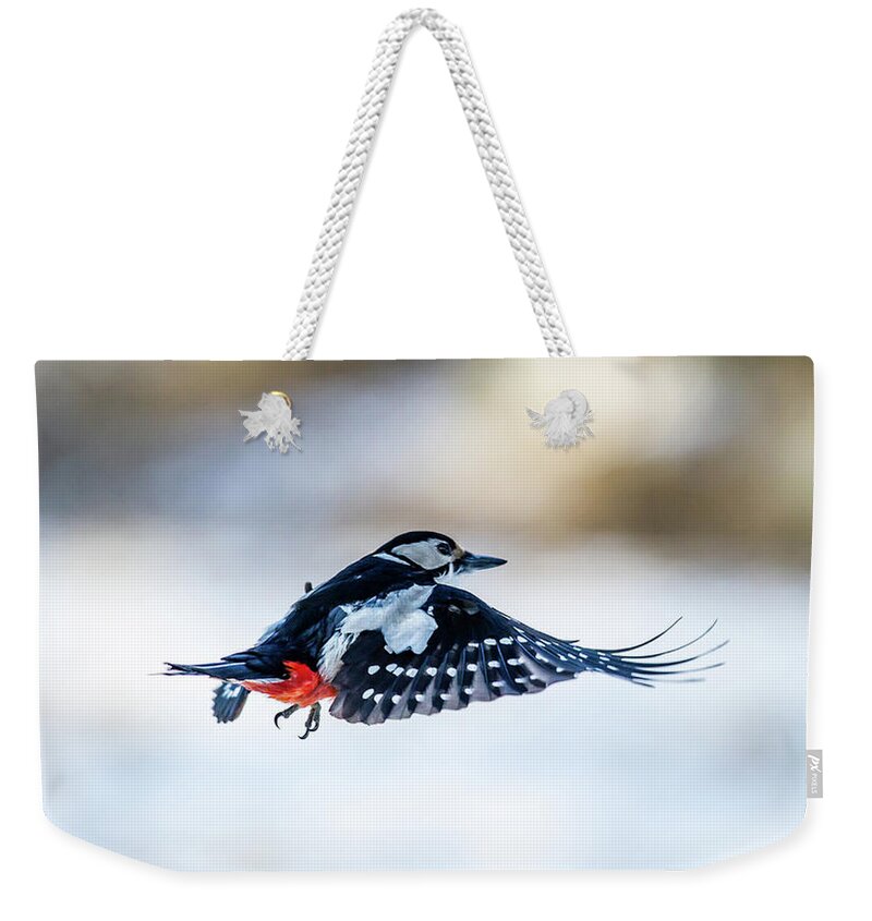 Flying Woodpecker Weekender Tote Bag featuring the photograph Flying Woodpecker by Torbjorn Swenelius