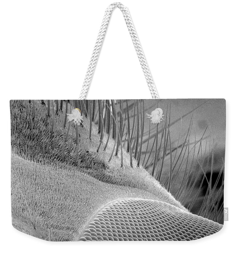 Original Art Weekender Tote Bag featuring the photograph Fly's Eye 2 by Jerry McElroy