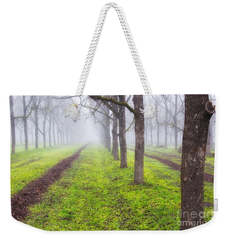 Fog Weekender Tote Bag featuring the photograph Fog and Orchard by Anthony Michael Bonafede