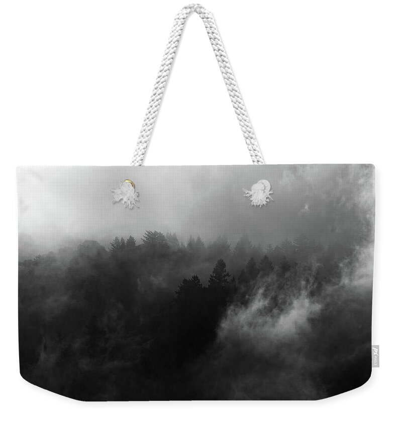Forest Weekender Tote Bag featuring the photograph Fog Forest by Eric Wiles