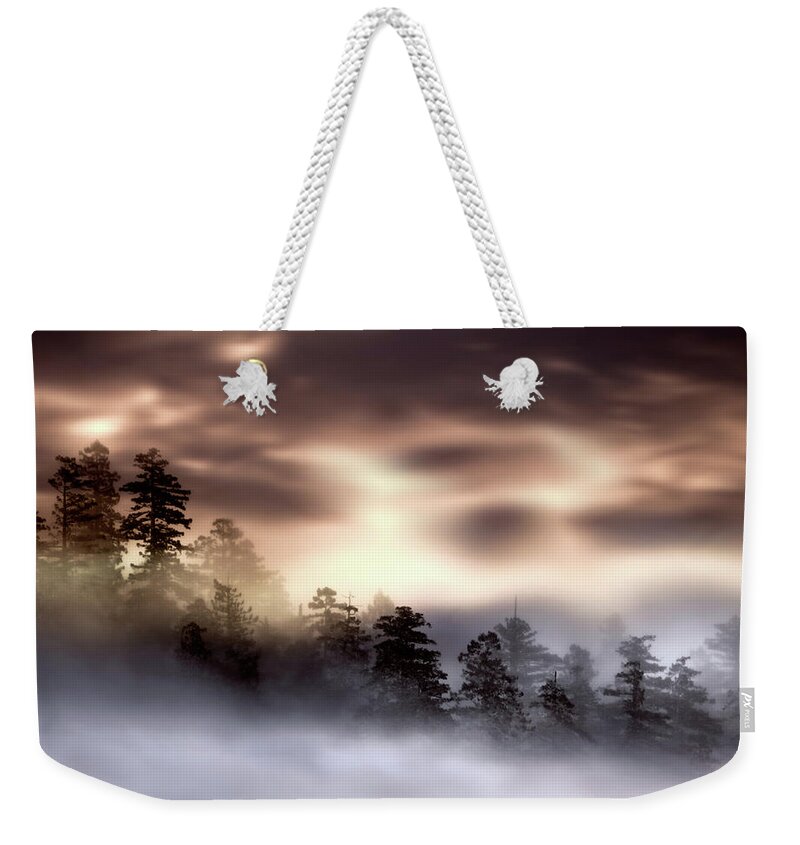 Foggy Landscape Weekender Tote Bag featuring the photograph Foggy landscape by Lilia S