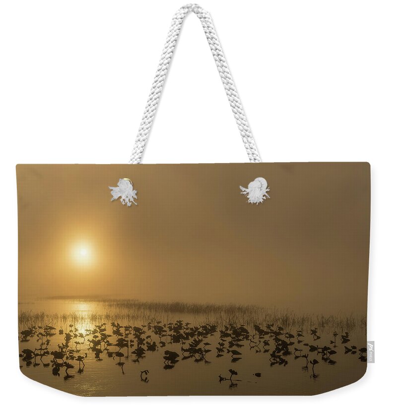 Kissimmee Lake Weekender Tote Bag featuring the photograph Foggy Sunrise by Randall Evans