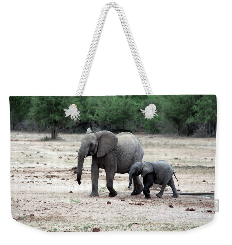 Elephant Weekender Tote Bag featuring the photograph Follow Me by Samantha Delory