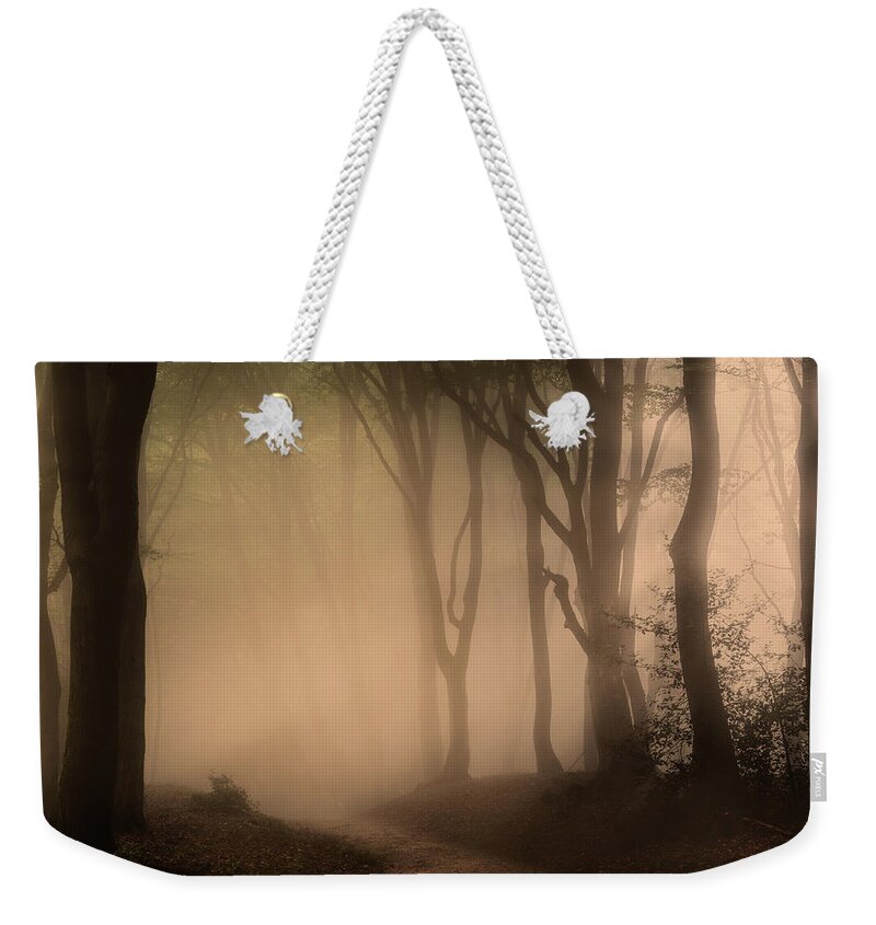 Autumn Weekender Tote Bag featuring the photograph Follow the Light by Tim Abeln