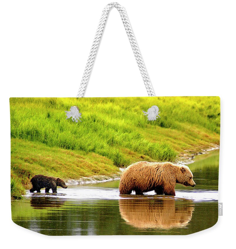 Follow Weekender Tote Bag featuring the photograph Following Mama by Ted Keller