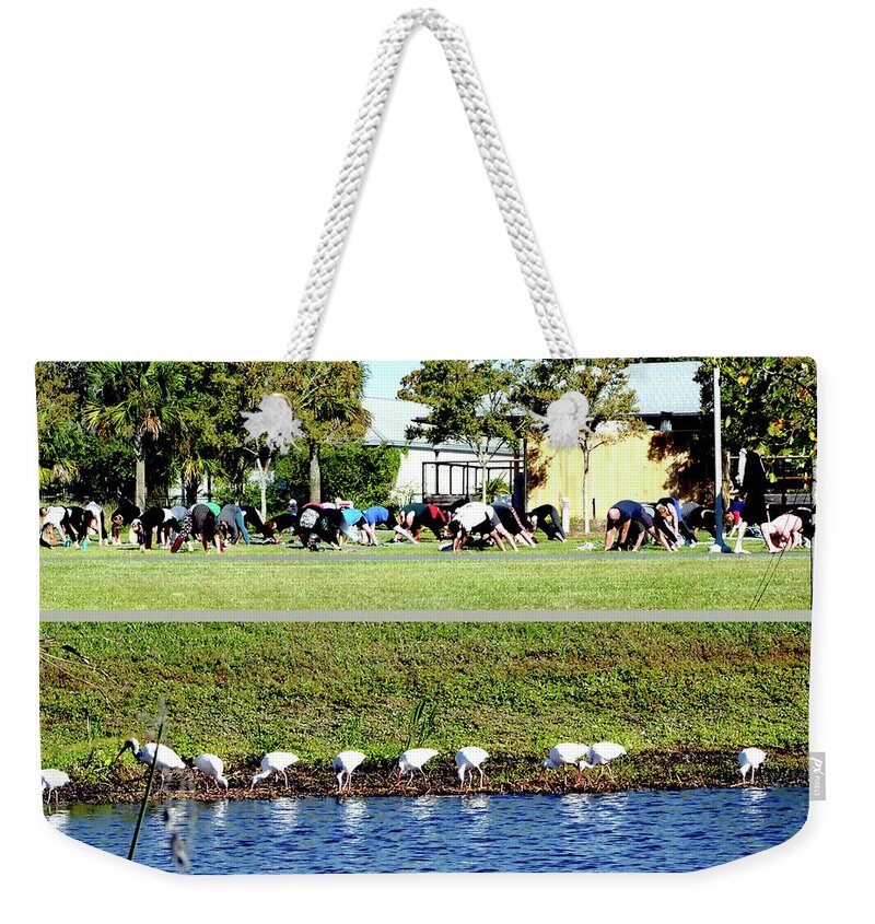 Ibis Weekender Tote Bag featuring the photograph For All Species by Farol Tomson