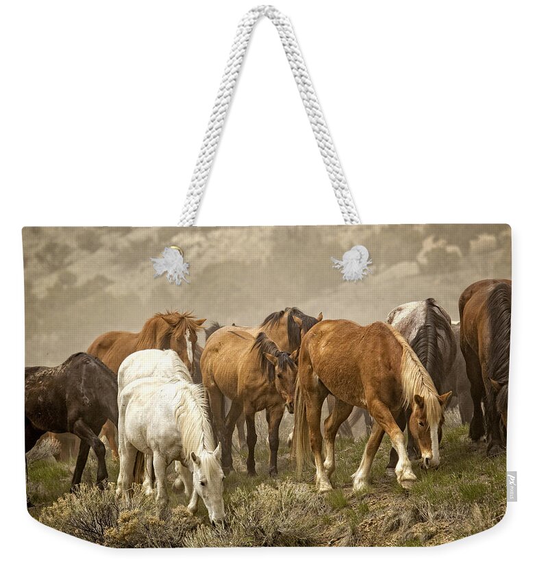 Colorado Weekender Tote Bag featuring the photograph Foraging by Joan Davis