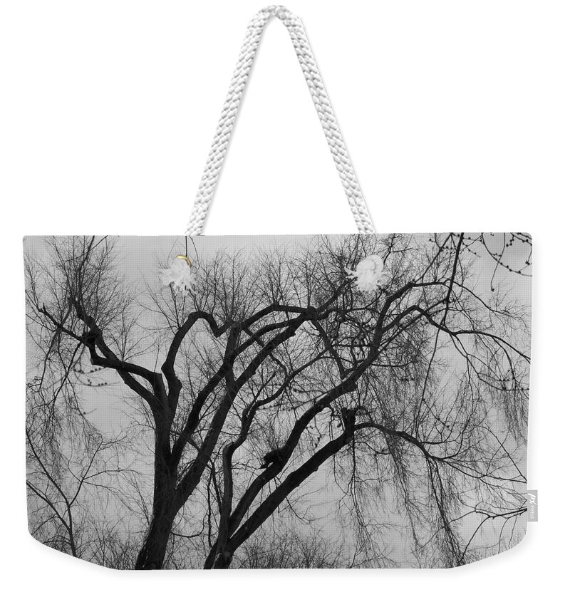 Tree Weekender Tote Bag featuring the photograph Foreboding by Michelle Miron-Rebbe
