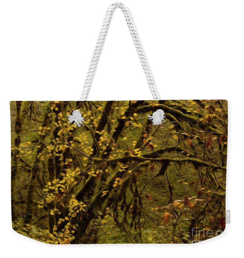 Trees Weekender Tote Bag featuring the photograph Forest Abstract 1 by Vivian Christopher