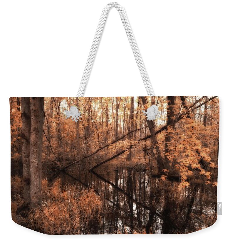 Forest Weekender Tote Bag featuring the photograph Forest Directional by Karl Anderson