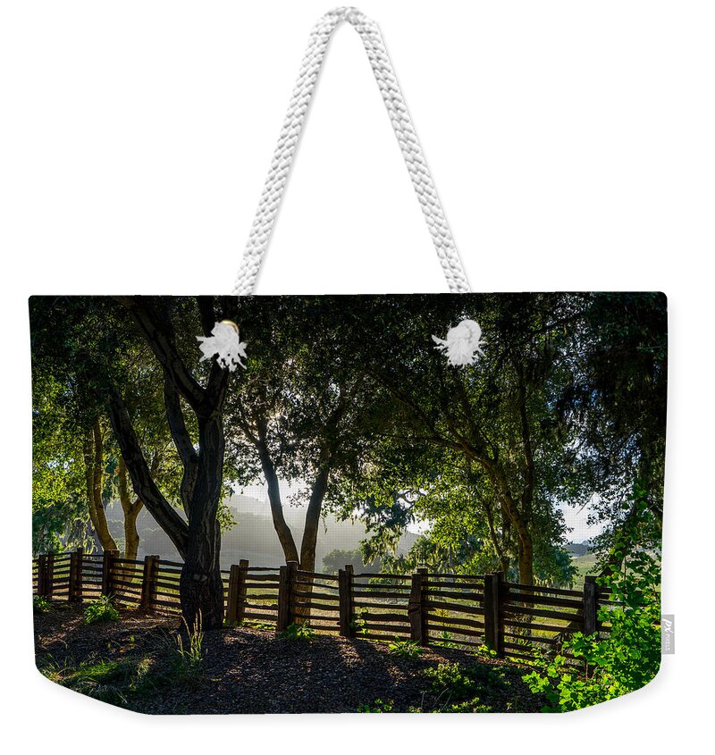 Trees Weekender Tote Bag featuring the photograph Forest Fence by Derek Dean